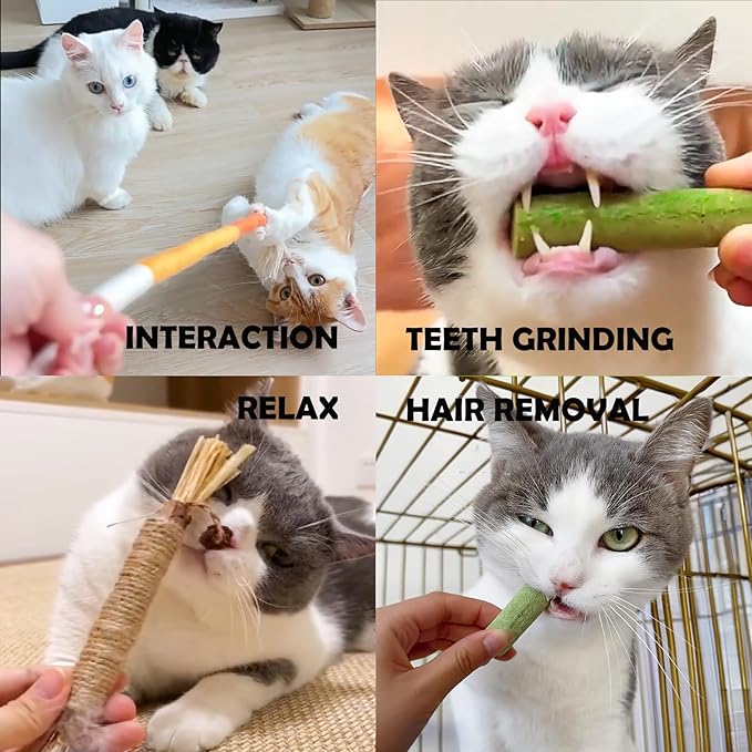 6Pack Cat Toys Cats Grass Treat Catnip Toy with Silvervine for Indoor Kitten Toys Wood Kitty Chew Rope Grass Sticks for Teeth Cleaning Kitten Snack for Catnip Dental Care Self Play