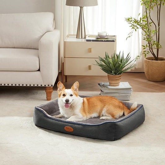 Orthopedic Dog Beds for Medium Dogs, Durable Egg Crate Foam Sofa Dog Bed wit Washable Removable Cover,Waterproof Lining,Pet Bed for Large Dogs (Dark Grey-Velvet, 31.5" L x 25.2" W x 7" Th)