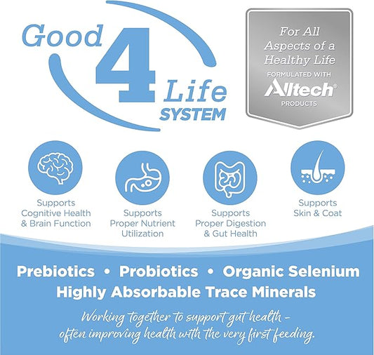 NutriSource Dry Dog Food for Large Breeds, Trout and Rice, 26LB