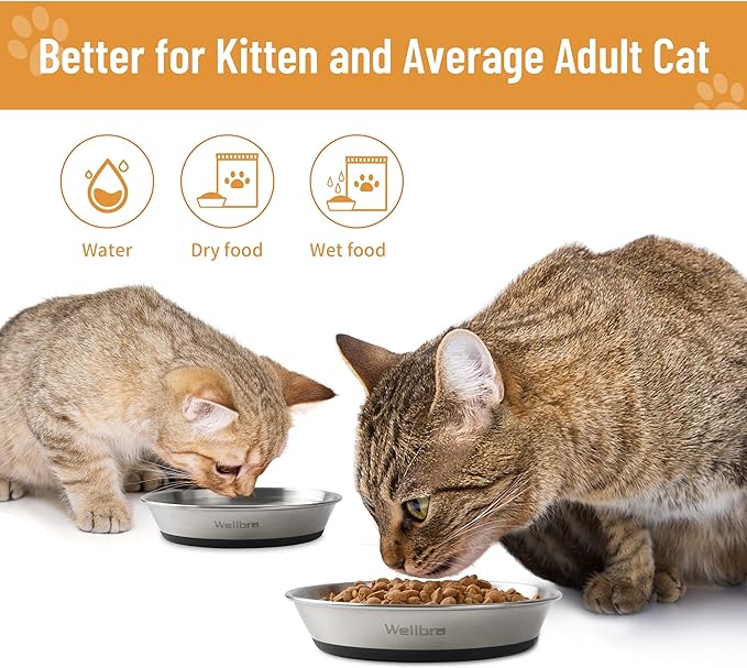 Cat Bowls, 4 Pcs Stainless Steel Cat Bowls for Food and Water, Whisker Fatigue Shallow Non-Slip Cat Dishes Plates for Small Dog Puppies Cats