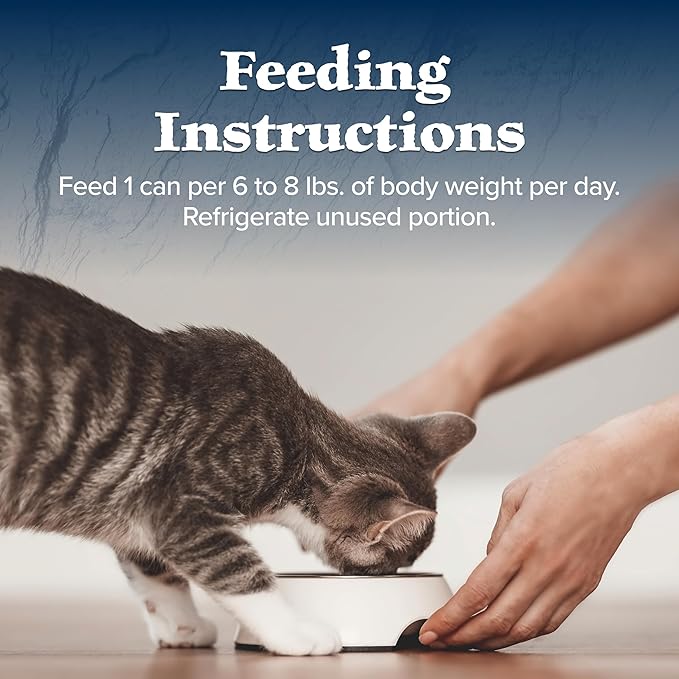 Blue Buffalo Wilderness Wild Delights Minced Natural Wet Cat Food, Chicken & Turkey in Tasty Gravy, 5.5-oz. Cans, 24-Pack