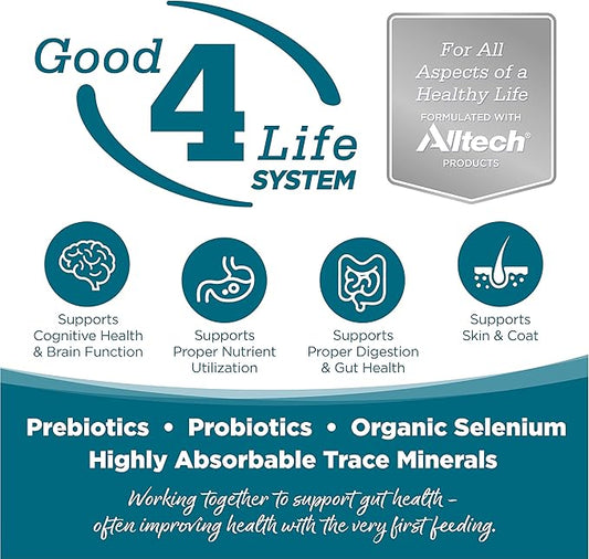 NutriSource Adult Dry Dog Food, Chicken and Rice, 4LB