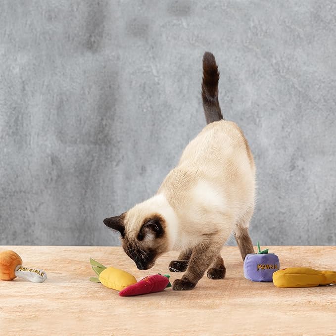 5 Pack Catnip Toys for Indoor Cats, 100% Pure Organic Catnip Filled with No Cotton, Teething Kicker Chew Toys for Kittens & Cats (Food Shape)