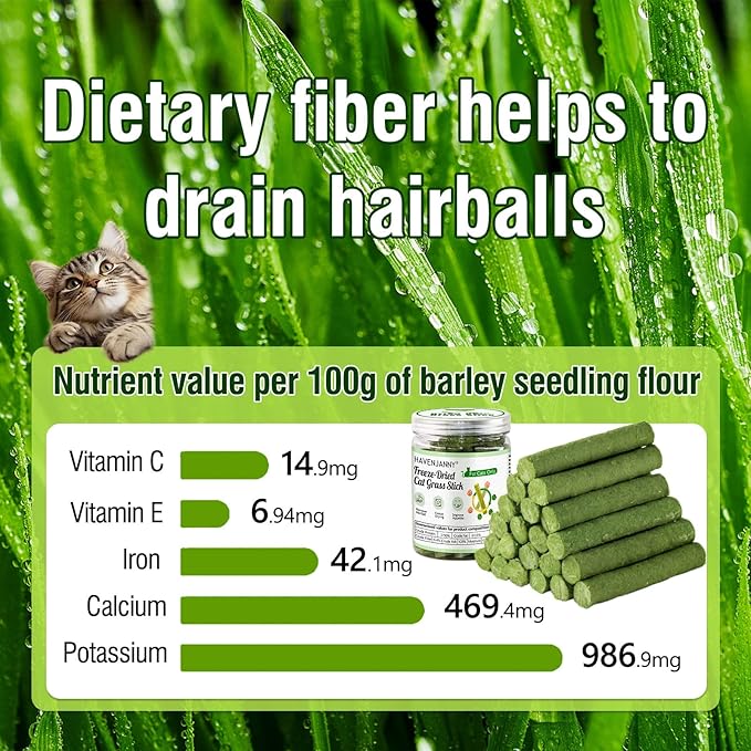 HavenJanny 100g/3.52oz Cat Grass Teething Stick for Cat, Cat Grass Stick Canned for Indoor Cats, Cat Grass Treats Hairball Relief and Teeth Cleaning