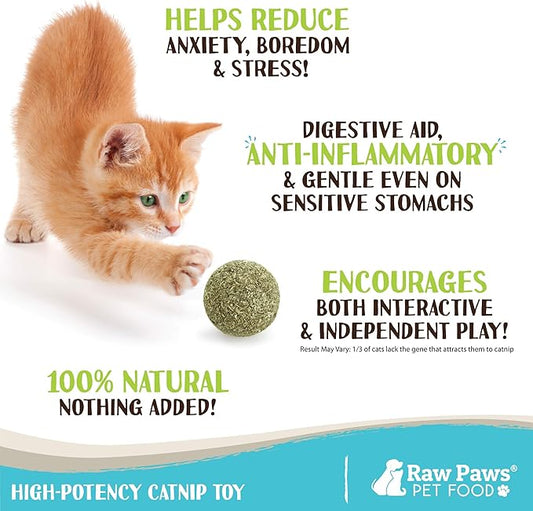 Raw Paws Catnip Balls for Cats, (6-Count) - Interactive Cat Toy for Indoor Cats - Cat Nip Licking Balls