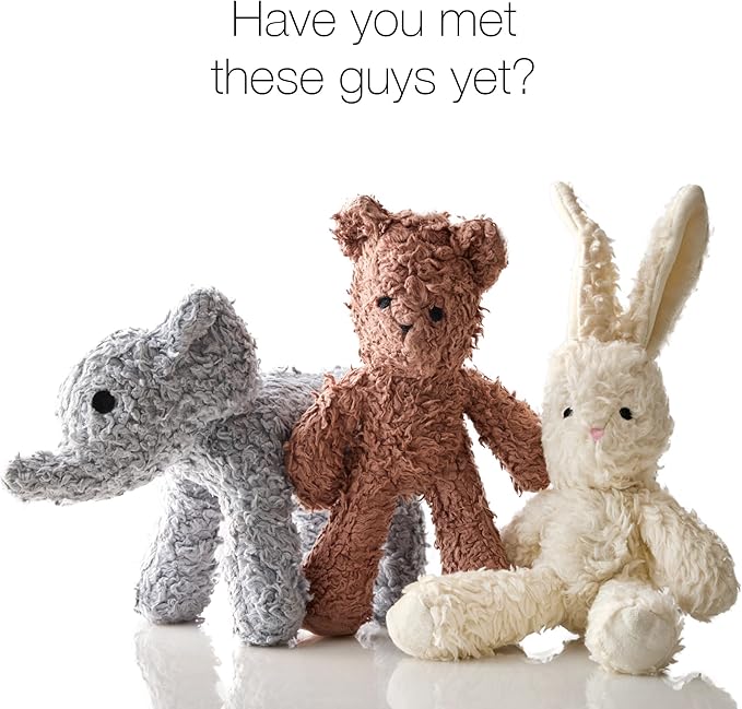 Plush Durable Cotton Dog Toys with Coconut Fill for All Pet Breeds, Bear, One Size