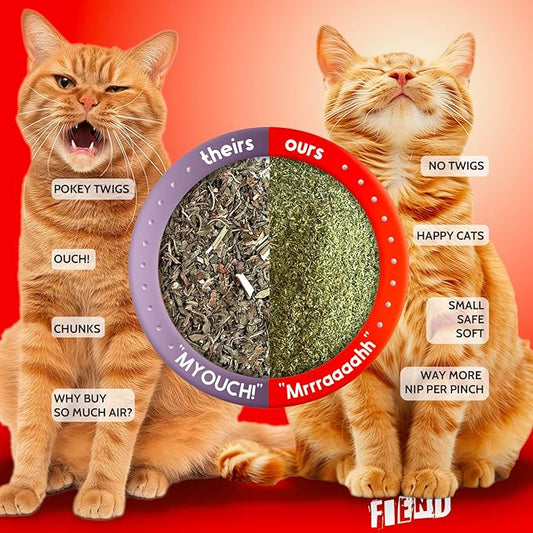 Fiend Catnip Safety-Cut 100% Pure Potent Fine Cat Nip for Cats & Kittens – Ultra Potent, North American – 1 Cup (34.5g) Canister – Go Ahead, Create a Monster!