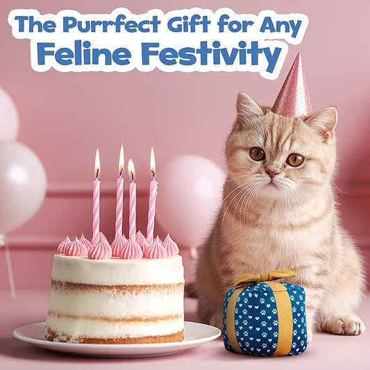 Gift Box Cat Toy – Birthday Toys with Catnip, Plush Crinkle Present for Indoor Play, for Cats