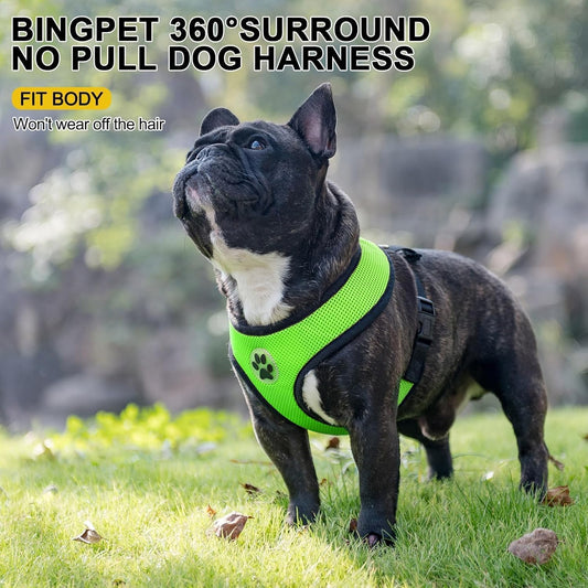 BINGPET No Pull Dog Harness,Soft Mesh Breathable All Weather Vest Harness,Safety Protection Design Durable Adjustable Step-in Easy Walk Dog Harness for Small Medium Large Dogs(Green,L)