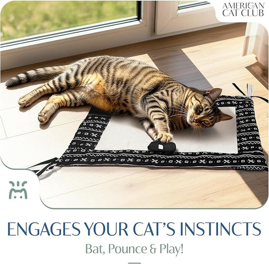 Reversible Crinkle Cat Mat with Mouse Toy – Black Mudcloth Pattern, Interactive Crinkle Play Mat for Cats, 18” x 13”