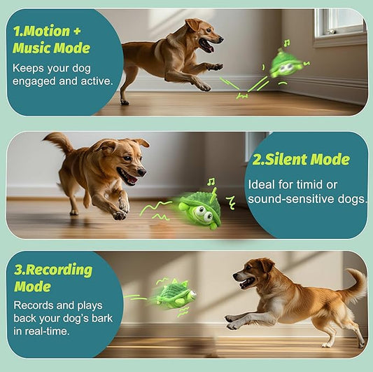 Interactive Moving Dog Toys – Plush Chew Toy with Bouncing Ball, Music & Recording | Rechargeable Self-Play Toys for Small, Medium & Large Dogs to Keep Them Engaged (Turtle)