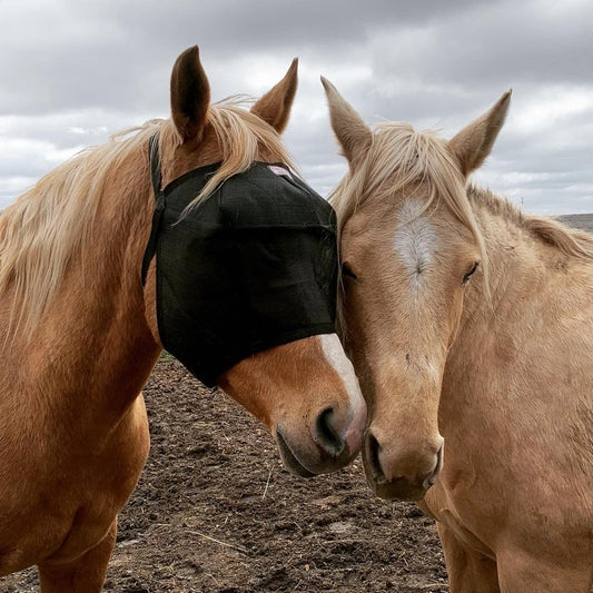 EquiVizor 95% UV Eye Protection (Full) Standard Horse Fly Mask - Help with Uveitis, Corneal Ulcer, Light Sensitivity. Designed to Stay On Your Horse, Off The Ground.