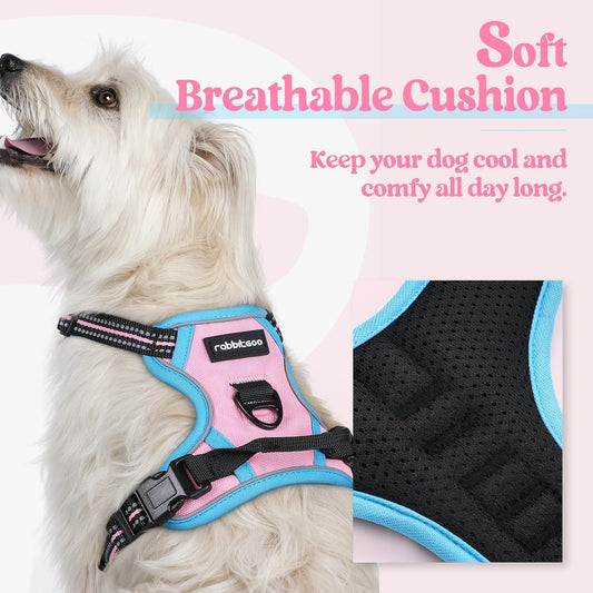 rabbitgoo Dog Harness No Pull with 2 Leash Clips, Adjustable Soft Padded, Reflective Oxford No Choke Pet Vest with Easy Control Handle for Puppy, Pink & Blue, XS