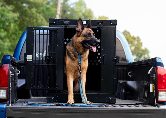 Heavy Duty Fully Collapsible Powder-Coated Aluminum Dog Crate - Large (Black)