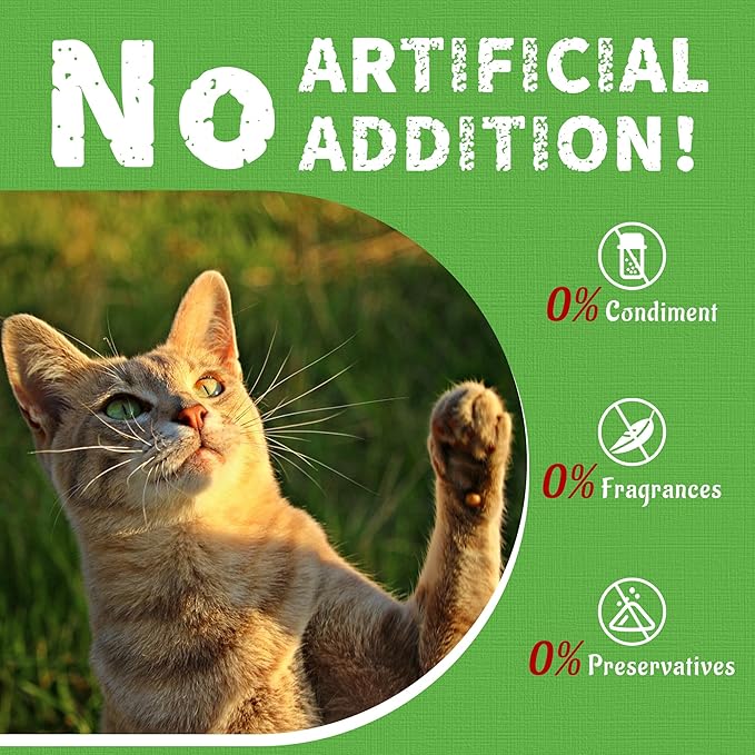 Just Try 16 OZ Cat Grass Jerky Treats for Indoor Cats Natural Chicken Healthy Cat Snacks Training Biscuits Hairball Control & Digestive Aid for Cats