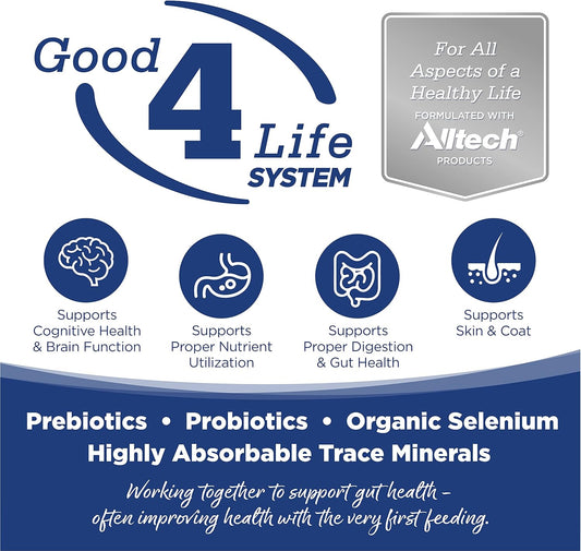 NutriSource Dry Dog Food, Trout and Rice, 26LB