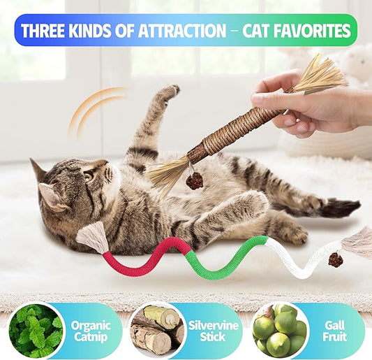 Cat Toys Chew Rope & Silvervine Sticks for Bored Indoor Adult Cats, 6Pcs Interactive Catnip Toys for Cats with Refillable Natural Catnip Bag for Teeth Cleaning