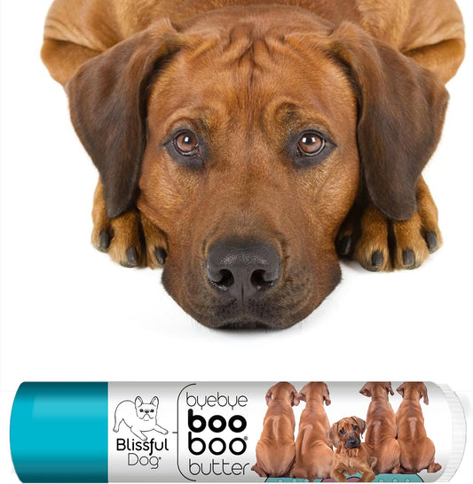 The Blissful Dog .15 oz Tube Rhodesian Ridgeback Booboo Butter