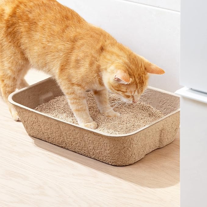 Navaris Disposable Cat Litter Trays (Pack of 5) - Cardboard Liner Tray for Cats Made of 100% Paper - Use Alone or As Box Liners - 15.9" x 11.8"