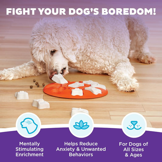 Outward Hound by Nina Ottosson Dog Smart Treat Puzzle Enrichment Toy, Level 1 Beginner, Orange