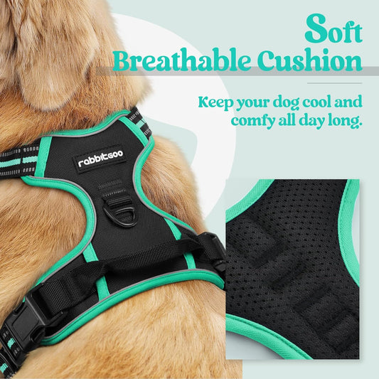rabbitgoo Dog Harness No Pull with 2 Leash Clips, Adjustable Soft Padded, Reflective Oxford No Choke Pet Vest with Easy Control Handle for Small Dogs, Black & Turquoise, S