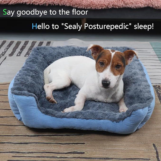 Rectangle Pet Beds for Small Dogs Washable,Fluffy Blue Cat Bed for Indoor Anti Slip Super Comfort Square Sherpa Pet Bed Fits up to 20 lbs Kitty or Puppy,20 inch