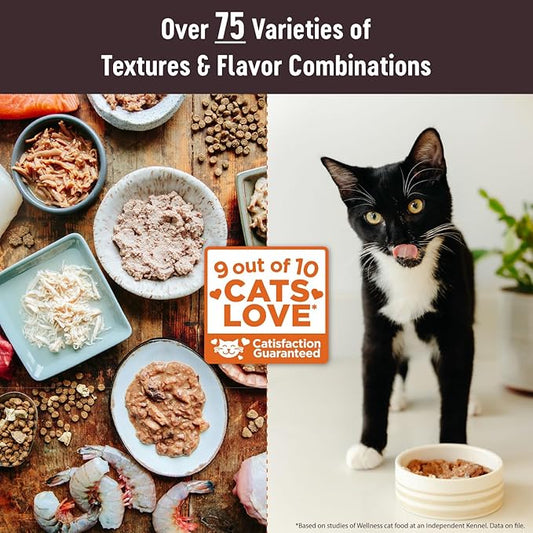 Wellness CORE Tiny Tasters Pate Adult Wet Cat Food, Natural, Protein-Rich, Grain Free, 1.75 Ounce Pouch, 12 Pack (Chicken & Turkey)