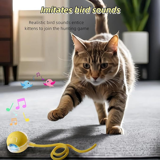 Interactive Cat Toy Ball – Automatic Electric Rolling Ball with Chirping Bird Sounds, Motion-Activated Indoor Toy for Kittens and Cats, Fun Exercise Play (Yellow)