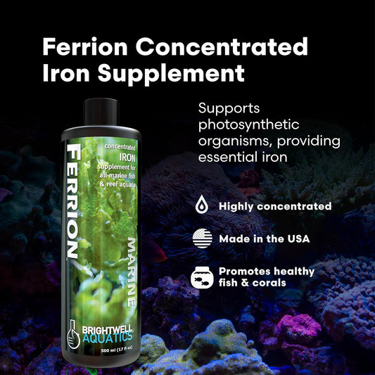 Brightwell Aquatics Ferrion – Concentrated Iron Supplement for Macroalgae, Coralline Algae & Reef Plants – Supports Coral Health – Ideal for Marine Systems, 2L
