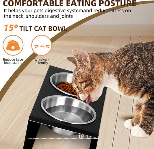 Elevated Cat Food Bowl,15°Tilted Stand Anti Vomiting Raised Cat Dishes for Food and Water,2 Stainless Steel Bowls,Non-Slip No Spill,Cats and Puppy