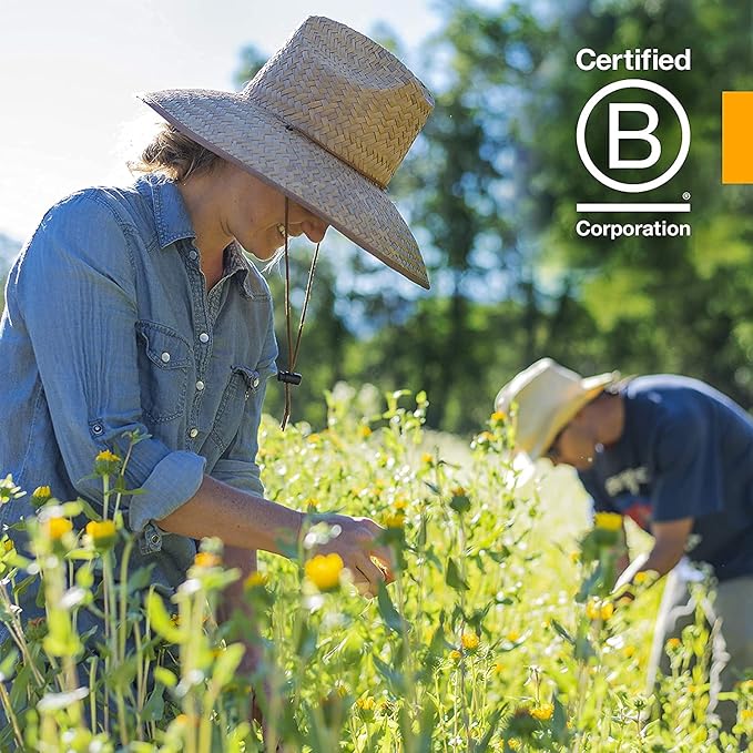 Herb Pharm Certified Organic Catnip Liquid Extract for Calming Nervous System Support, 1 Fl Oz