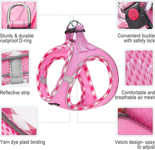 haapaw Dog Harness with Leash Set, No Pull Adjustable Reflective Step-in Puppy Harness with Thickened Padded Vest for Extra-Small/Small Medium Dogs