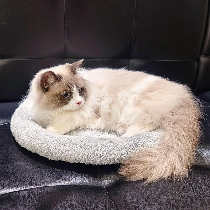 Enjoying Plush Cat Bed Mat, 15.75" Round, Self Warming Dog Bed with Pillow, Puppy Kitty Relying/Curling Sleep Cushion, Warm Bed for Small to Medium Dogs Cats Rabbits, Antiskid Bottom, Medium