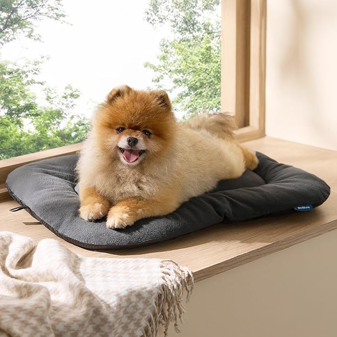 Bedsure Washable Dog Crate Pad for Small Dogs, Anti-Slip Puppy Kennel Dog Bed for Crate - Ultra Soft Fleece Flat Thin Pet Mat (Not Chew Proof), Grey 23"x17"