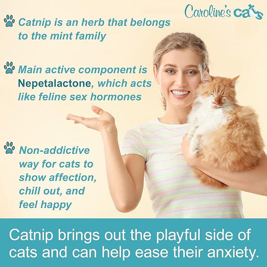 Caroline's Cats Organic Catnip Packets for Cat Toys 2.0 – More Potent Refill Pouches for Flapping Bird, Flopping Fish, and Others, 10 Tea Bags