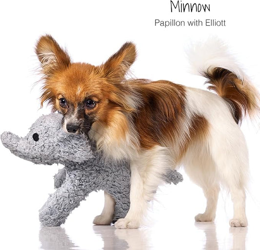 Plush Durable Cotton Dog Toys with Coconut Fill for All Pet Breeds, Elephant, One Size