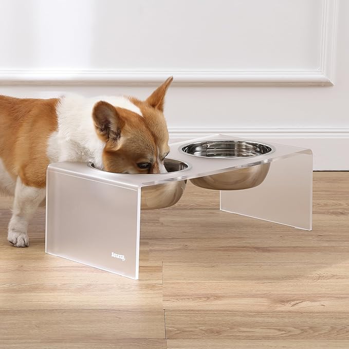 THE LICKER STORE DBL2001K Keaton 7.5" Medium/Large Modern Acrylic Rectangular Elevated Pet Feeder with 54oz 2-Stainless Steel Bowls, Moon White/Chrome