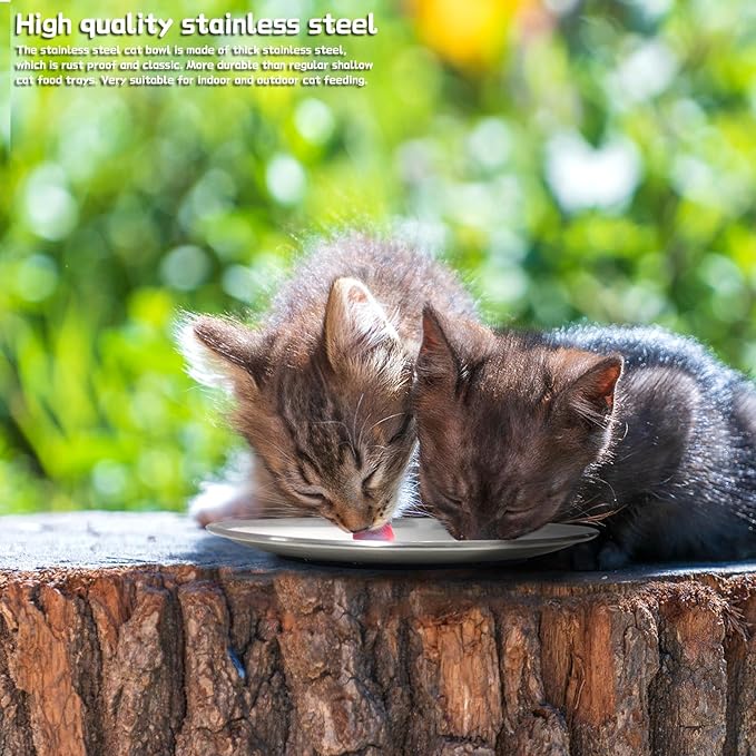 4 Pcs 304 Stainless Steel Cat Bowls - 6.7 Inch Metal Wide Shallow Bowls, Whisker Friendly, Indoor Cats & Kittens