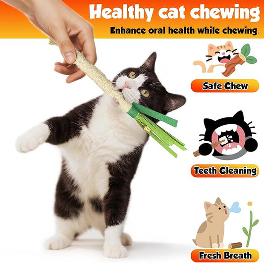 Catnip Chew Stick 4PCS with Wrapped Cotton Rope – Natural Dental Care Cat Toy for Teeth Cleaning & Gum Health, Satisfies Chewing Instincts, Safe & Long-Lasting Kitten Teething Toy (White)