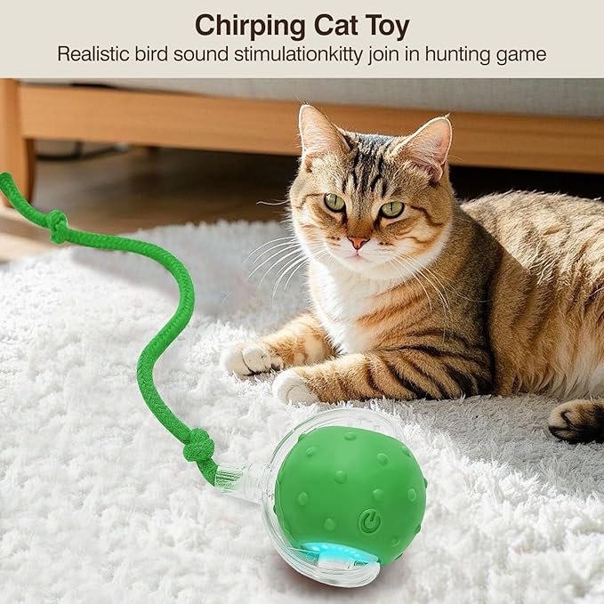 Electric Interactive Cat Toy Ball - Automatic Rolling Silicone Cat Toys for Indoor Cats, Durable Chew-Proof Motorized Kitty Ball with LED Light, Fun Exercise Toys for Bored Kittens(Green)