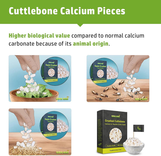 Crushed - 100% Natural Calcium Supplement - Premium Cuttlebone Perfect for Birds, Tortoises, Snails, Reptiles - 3.5 oz