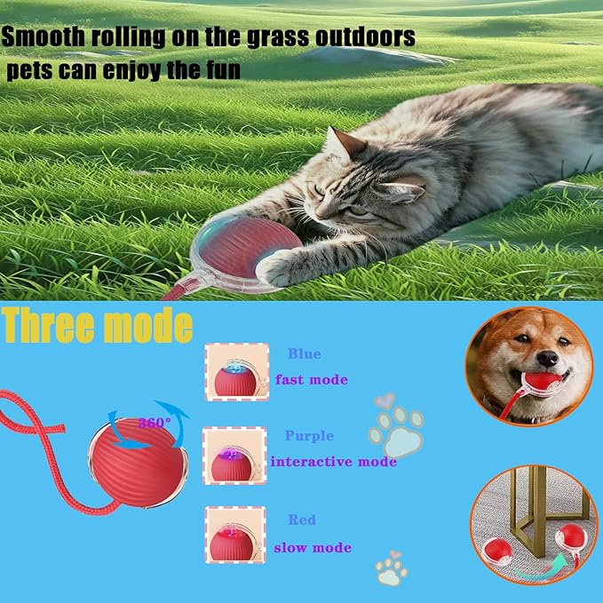 Kitty Curls Cat Toy Set, Magic Accordion Interactive Scratching Board with Bell Ball, Claw-Grinding Cat Scratching Board, Recyclable and Durable