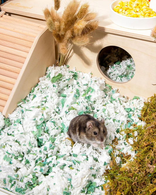 Niteangel Aspen Shaving Hamster Beddings for Syrian Dwarf Hamster Gerbil Mice Degu Rat Rabbit Bunny Guinea Pig Chinchilla Hedgehog or Other Small Pets (36L - White/Green Paper Bedding)