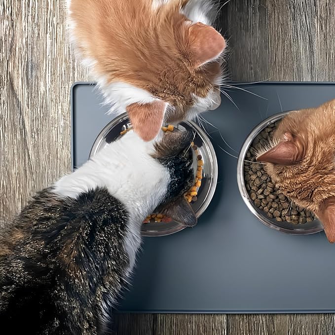 4pcs Stainless Steel Cat Bowls - 7.1 Inch Metal, Shallow Dish for Indoor Cats - Elevated Food Bowl for Kittens with Whisker Fatigue Protection