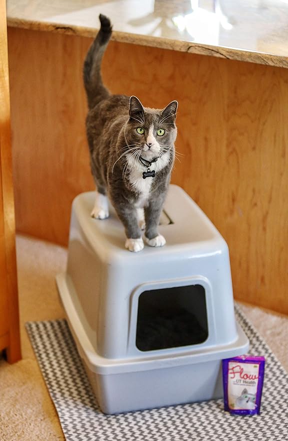 Flow Soft Chews for Cats. Daily Support for UT Health. Scientifically Formulated with Natural Ingredients to Keep Urinary Tract Flowing Naturally