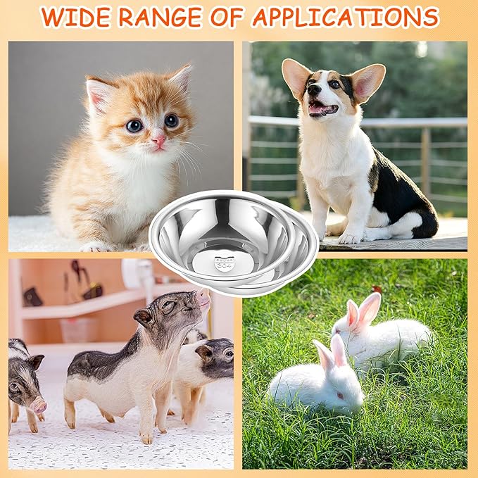 10 PCS 304 Stainless Steel Cat Bowls, Small Metal Pet Food Bowl (5.5in Diameter)