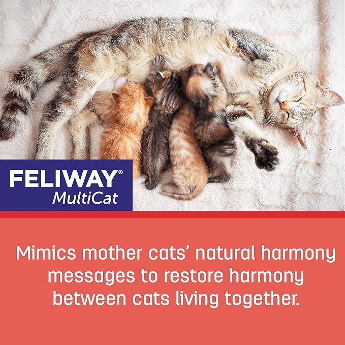FELIWAY MultiCat Calming Pheromone Diffuser: 1 Diffuser Kit & 3 Refills
