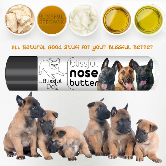 The Blissful Dog Belgian Malinois Nose Butter for Dry, Cracked Skin, Lick-Safe Dog Nose Balm with Moisturizing Shea Butter, Almond, Olive, and Essential Oils, Pet Supplies, Uncented, 0.15 oz.