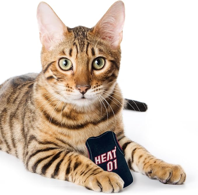 Best Plush CAT Toy - NBA Miami Heat Complete Set of 3 Piece Cat Toys Filled with Fresh Catnip. Includes: 1 Jersey Cat Toy, 1 Basketball Cat Toy with Feathers & 1#1 Fan Cat Toy. Beautiful Team Logos
