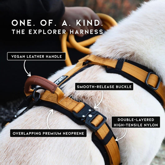 MADE TO ROAM Premium Explorer Harness - Y-Shaped Dog Harness with Adjustable Durable Nylon, Soft Padding, Metal Buckles and Leather Handle for Small, Medium, Large Dogs (Carolina Blooms, Size 2)